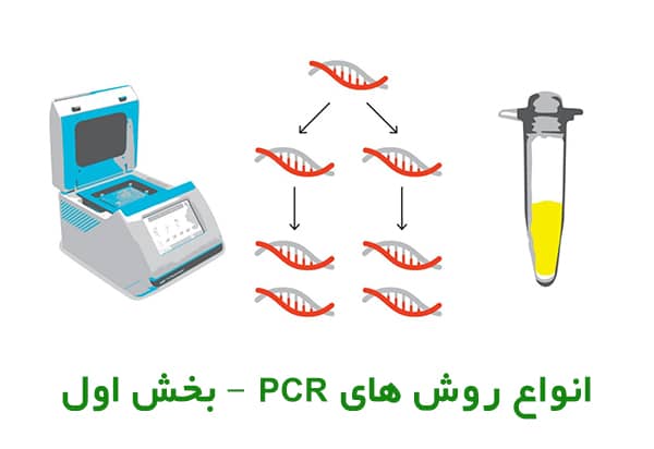 معرفی انواع پی سی آر و تفاوت آن ها با یکدیگر – بخش اول