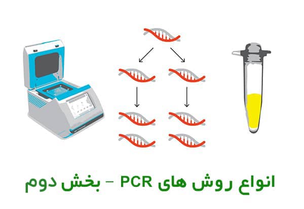 معرفی انواع پی سی آر و تفاوت آن ها با یکدیگر – بخش دوم