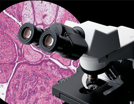 میکروسکوپ بیولوژی مدل CX31 المپیوس