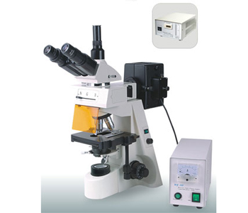 میکروسکوپ فلورسنت دارای 2 فیلتر موجی